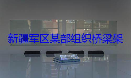 图新疆军区某部组织桥梁架设训练